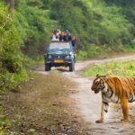 Budget national park adventure holidays